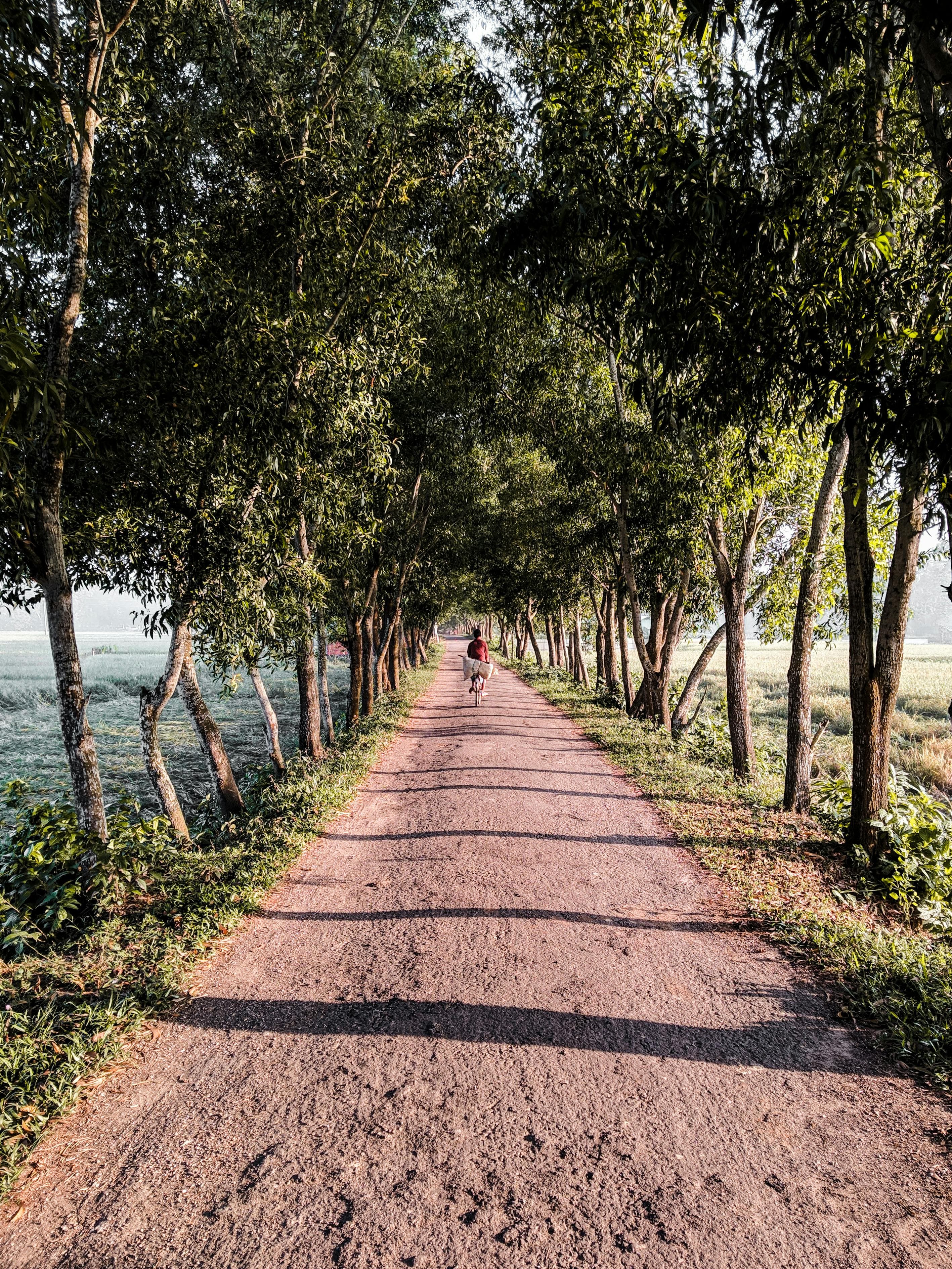 Cyclist exploring a recommended route